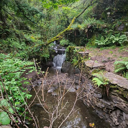 Cantinho Do Talasnal