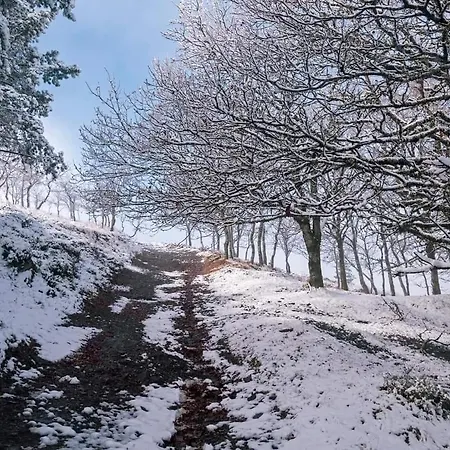 Casa de Férias Cantinho Do