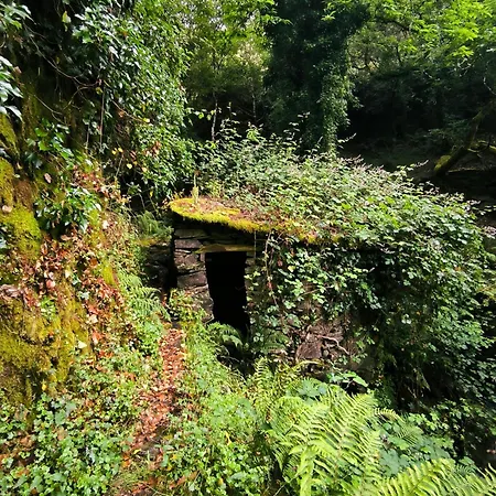 Cantinho Do タラスナル