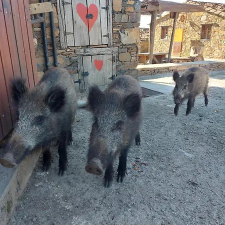 Cantinho Do Casa de Férias