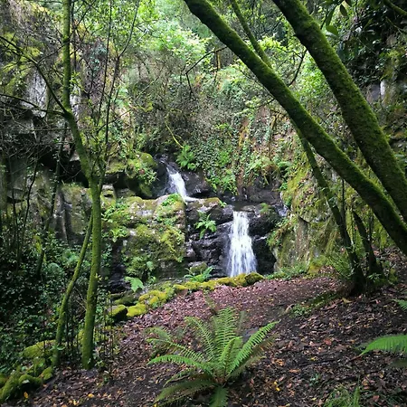 Cantinho Do Talasnal