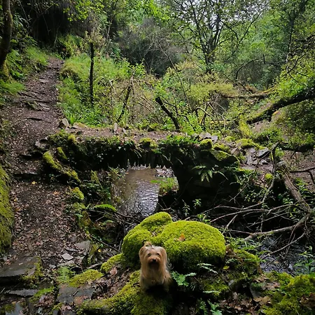 Cantinho Do * Talasnal