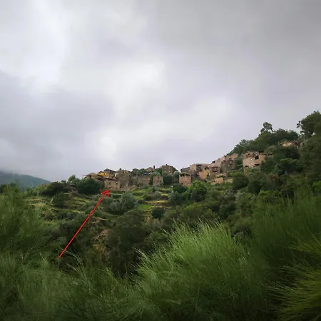 Cantinho Do Talasnal