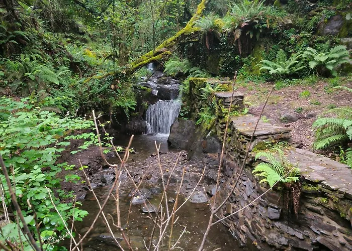 Cantinho Do Talasnal