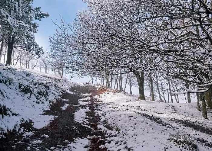 בית נופש Cantinho Do