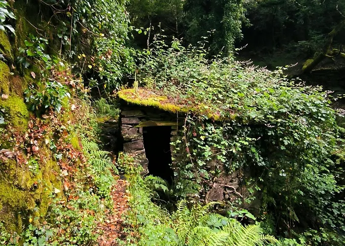 Cantinho Do טלסנאל