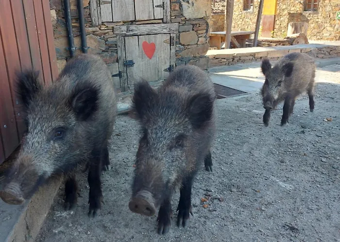 Cantinho Do Dom wakacyjny