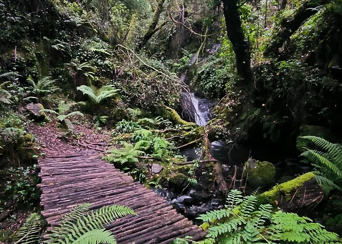 Dom wakacyjny Cantinho Do *