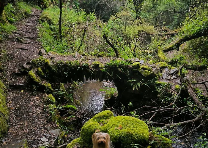 Cantinho Do * Talasnal