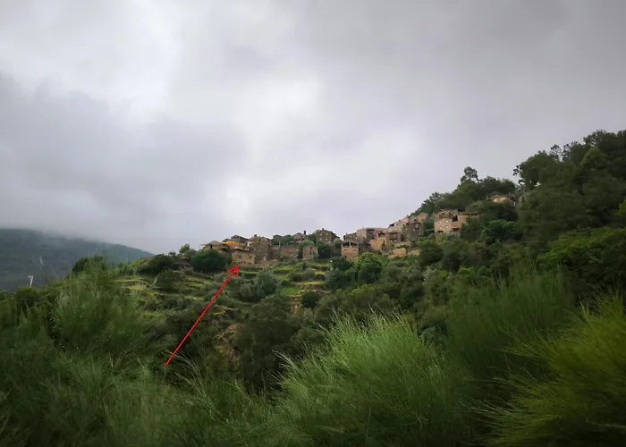 Cantinho Do Talasnal